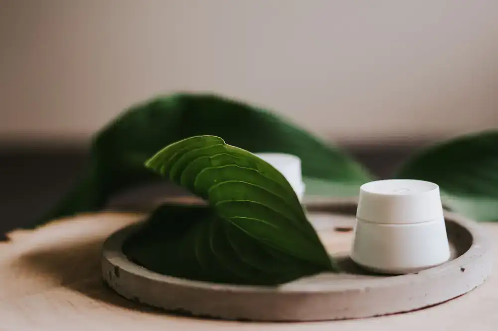 Frische botanische Zutaten und Naturkosmetik Tiegel